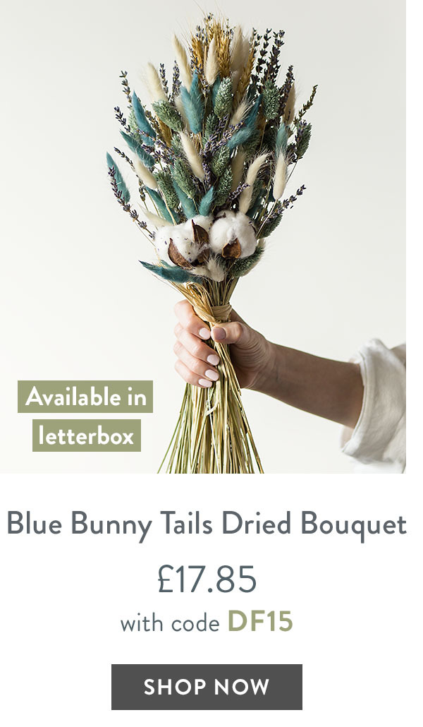 Blue Bunny Tails Dried Bouquet - only &pound;17.85 with code DF15