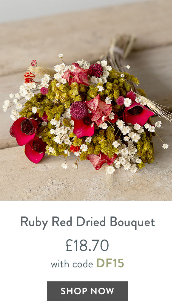 Ruby Red Dried Bouquet - only &pound;18.70 with code DF15
