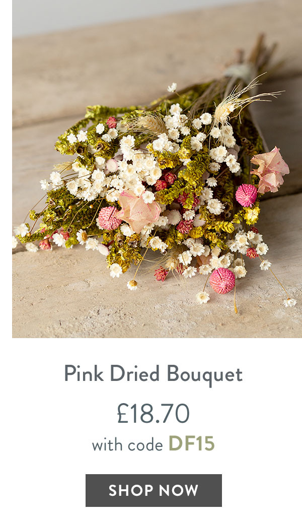 Pink Dried Bouquet - only &pound;18.70 with code DF15