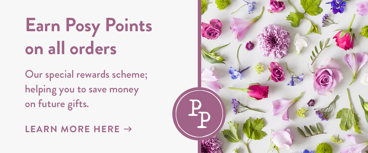 Earn Posy Points on all orders