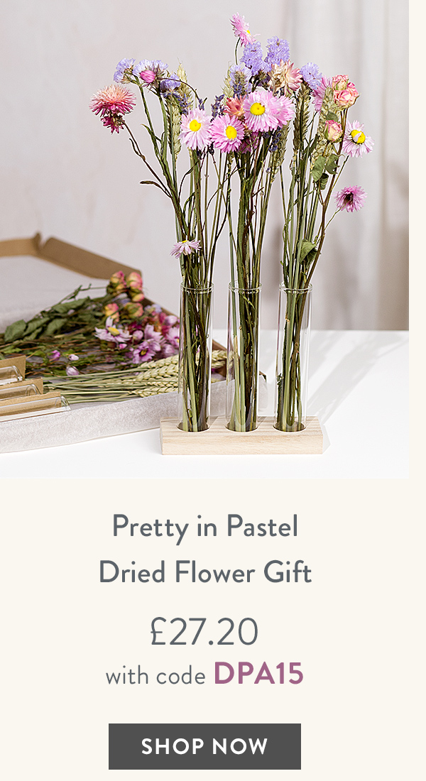 Pretty in Pastel Dried Flower Gift - only &pound;27.20 with code