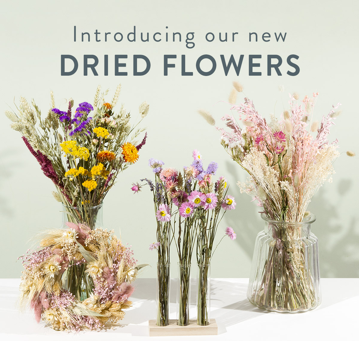 Introducing Dried Flowers