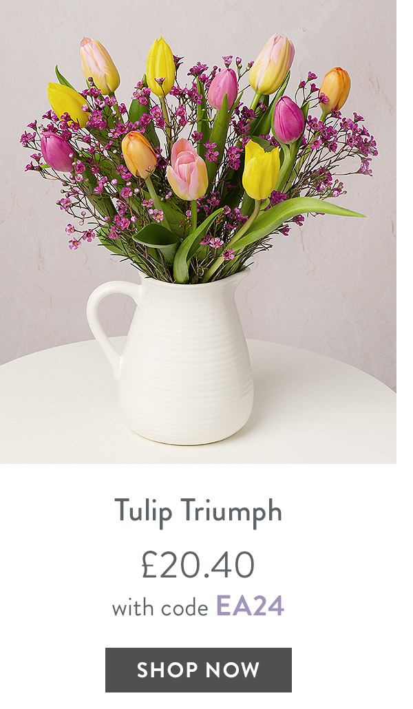 Tulip Triumph - only &pound;20.40 with code