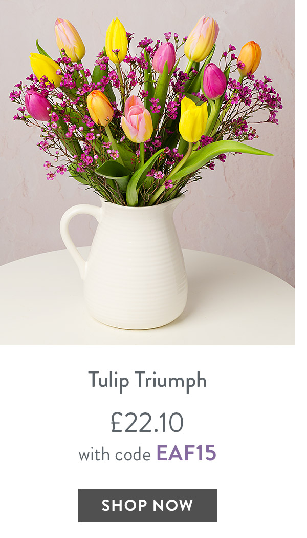 Tulip Triumph - only &pound;22.10 with code