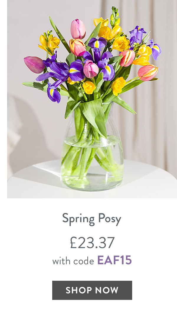 Spring Posy - only &pound;23.37 with code