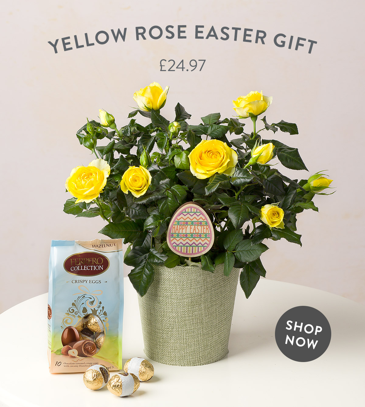 Yellow Rose Easter Gift- only &pound;24.97