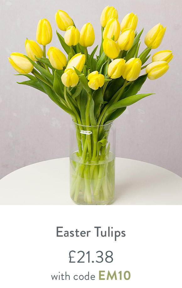 Easter Tulips - only &pound;21.38 with code