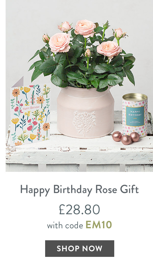 Happy Birthday Rose Gift - only &pound;28.80 with code