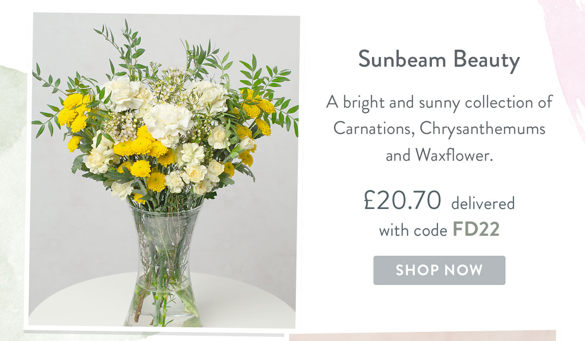 Sunbeam Beauty - Only &pound;20.70 delivered