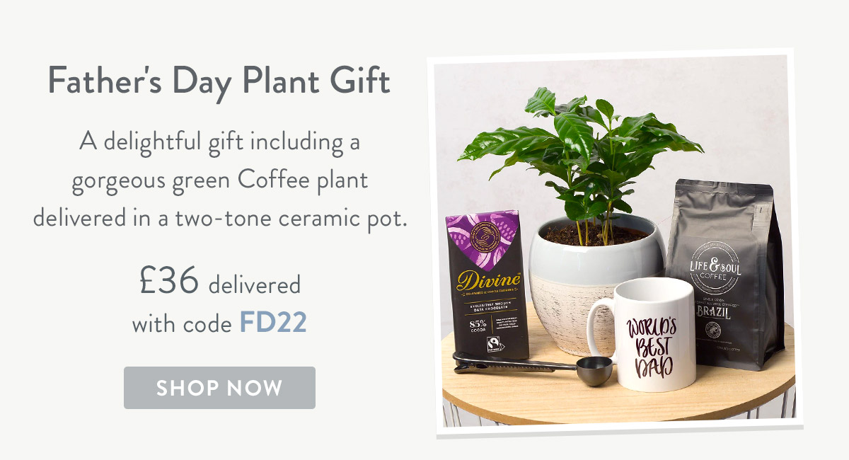 Father's Day Plant Gift - only &pound;36 delivered