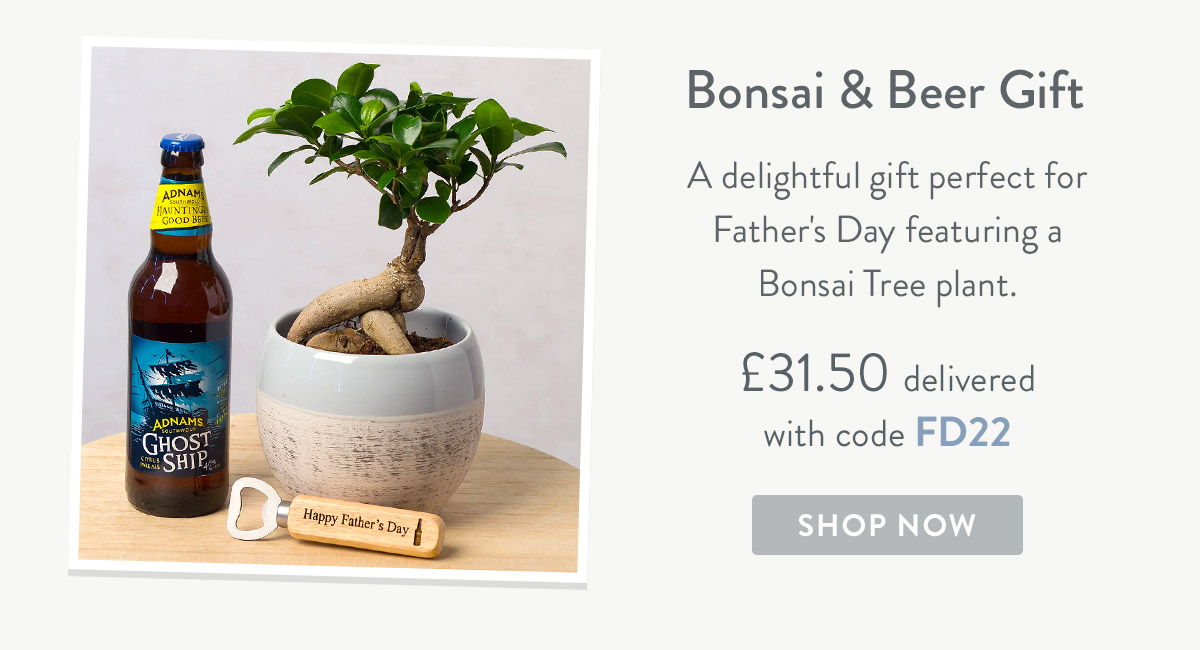 Bonsai & Beer Gift - only &pound;31.50 delivered