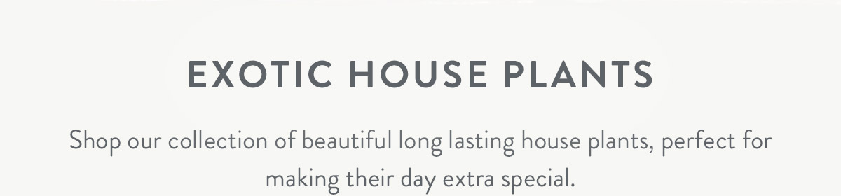 Exotic House Plants