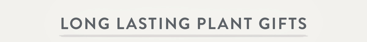 Long Lasting Plants