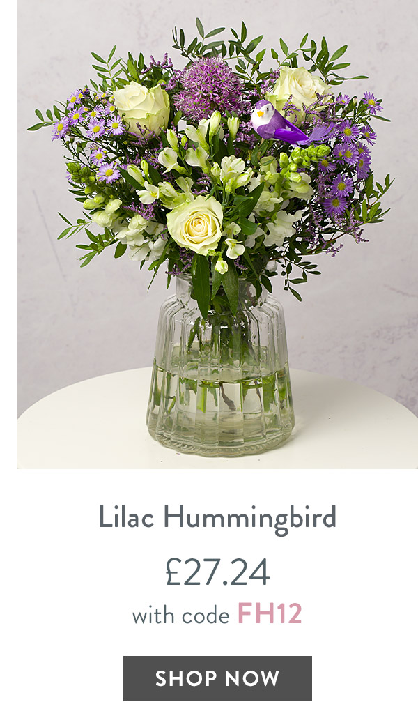 Lilac Hummingbird - only &pound;27.24 with code