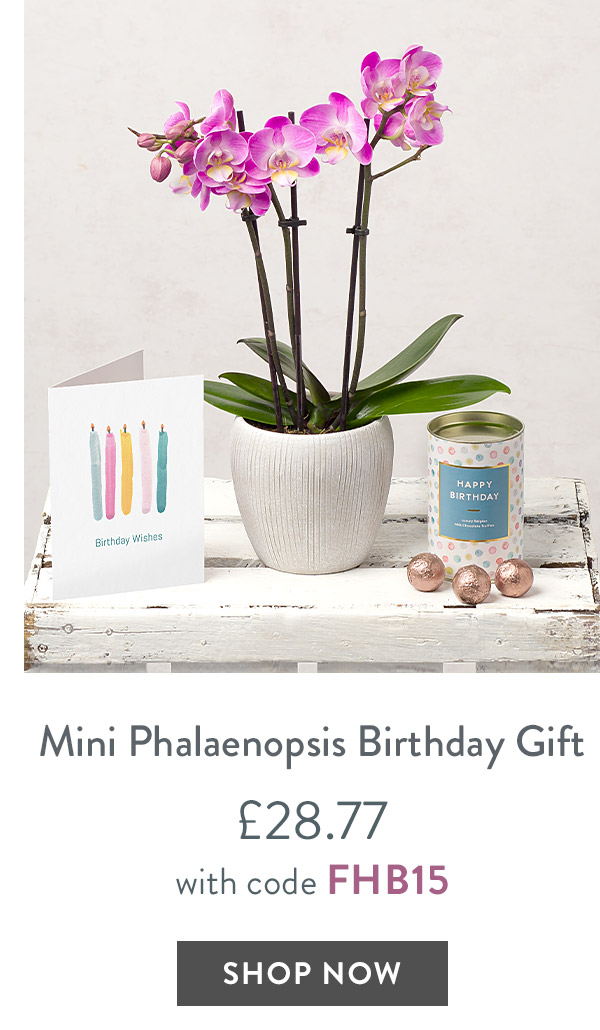 Mini Phalaenopsis Birthday Gift - only &pound;28.77 with code