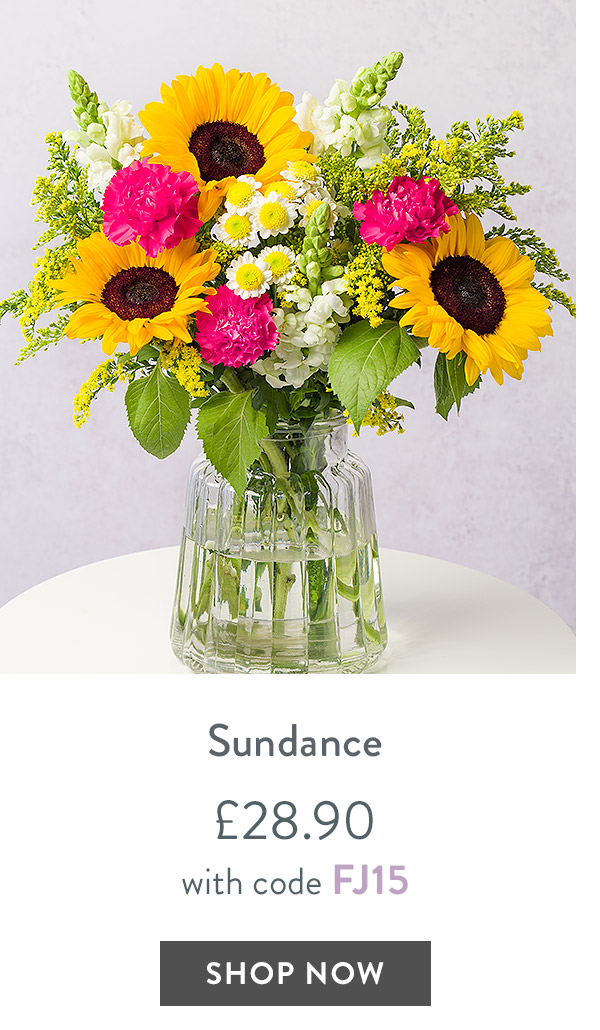 Sundance - only &pound;28.90 with code