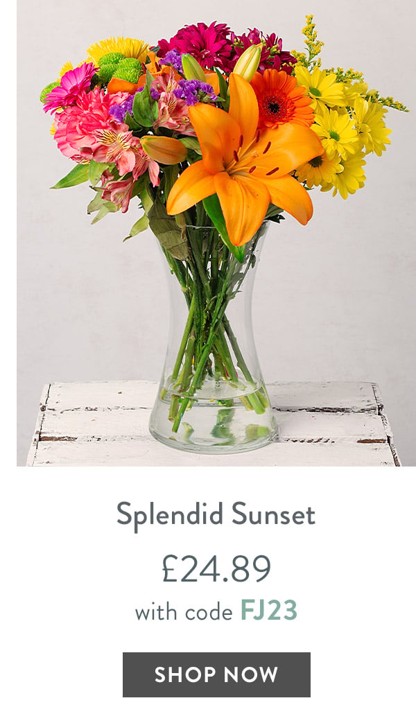 Splendid Sunset - only &pound;24.89 with code