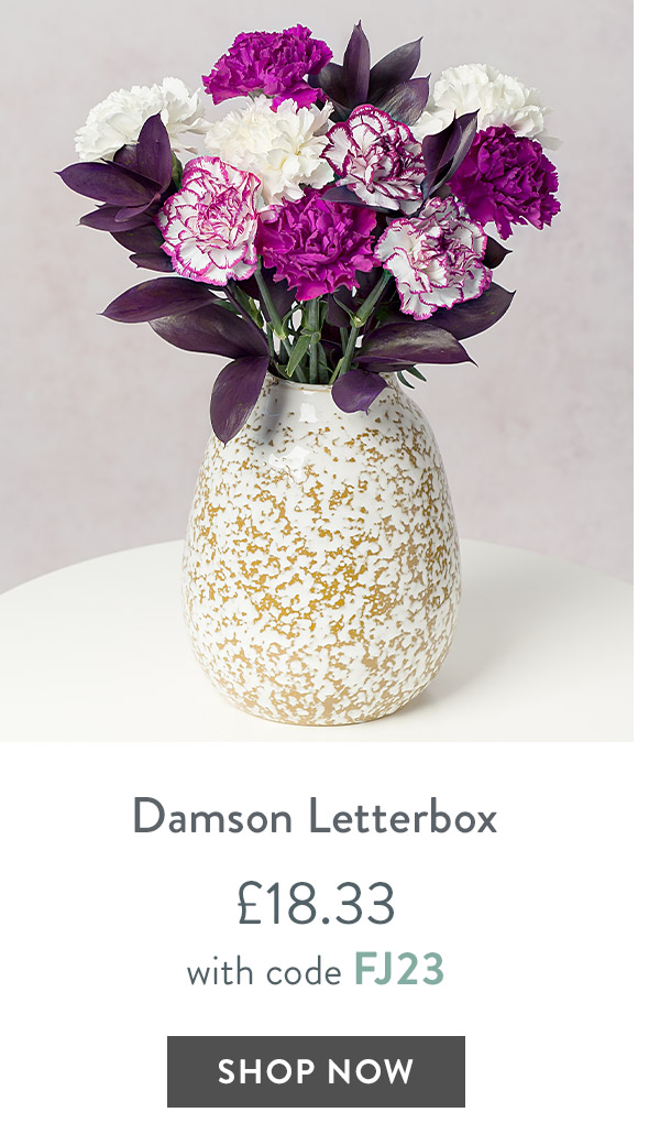 Damson Letterbox - only &pound;18.33 with code