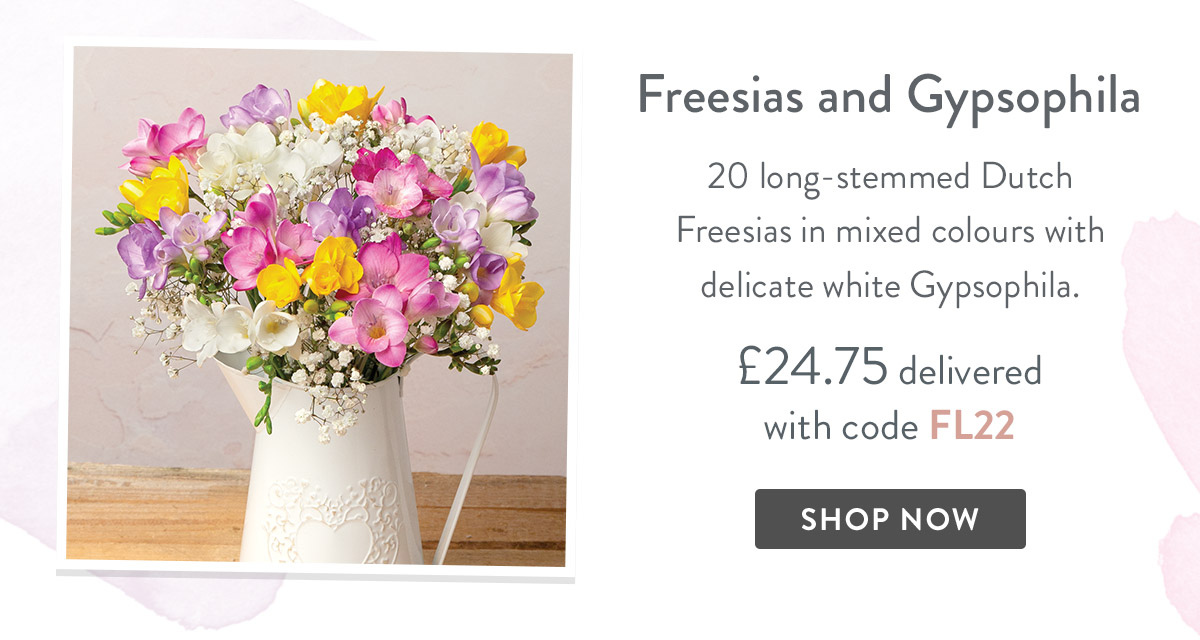 Freesias and Gypsophila - only &pound;24.75 delivered