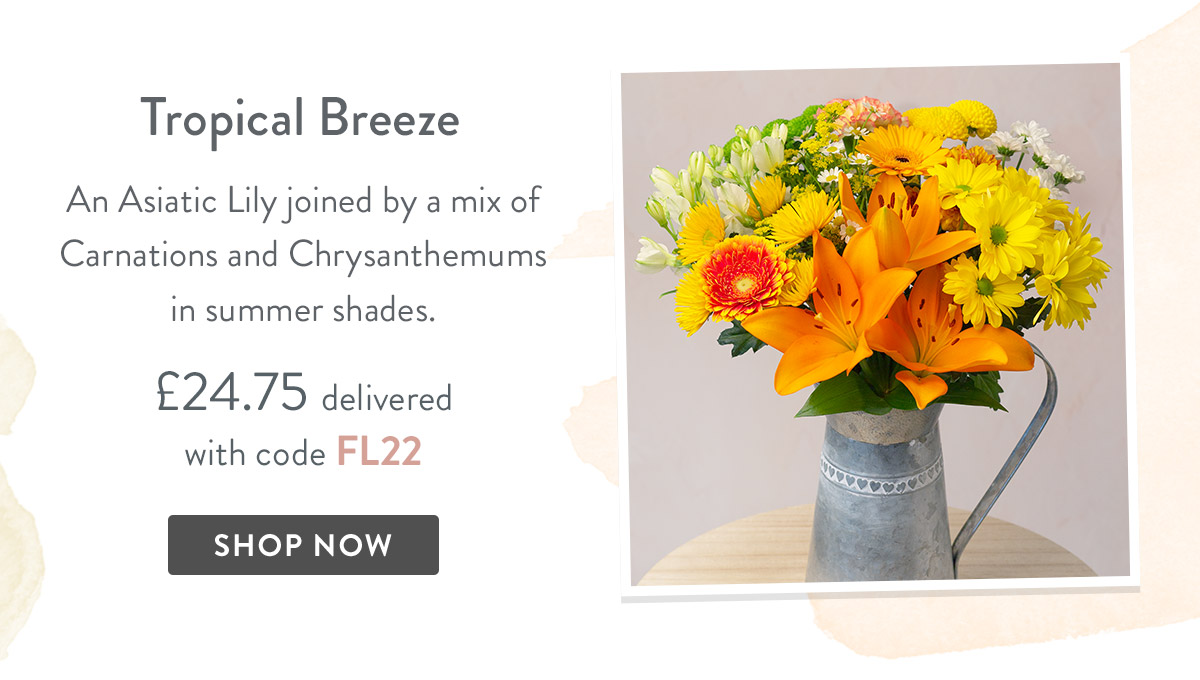 Tropical Breeze - only &pound;24.75 delivered