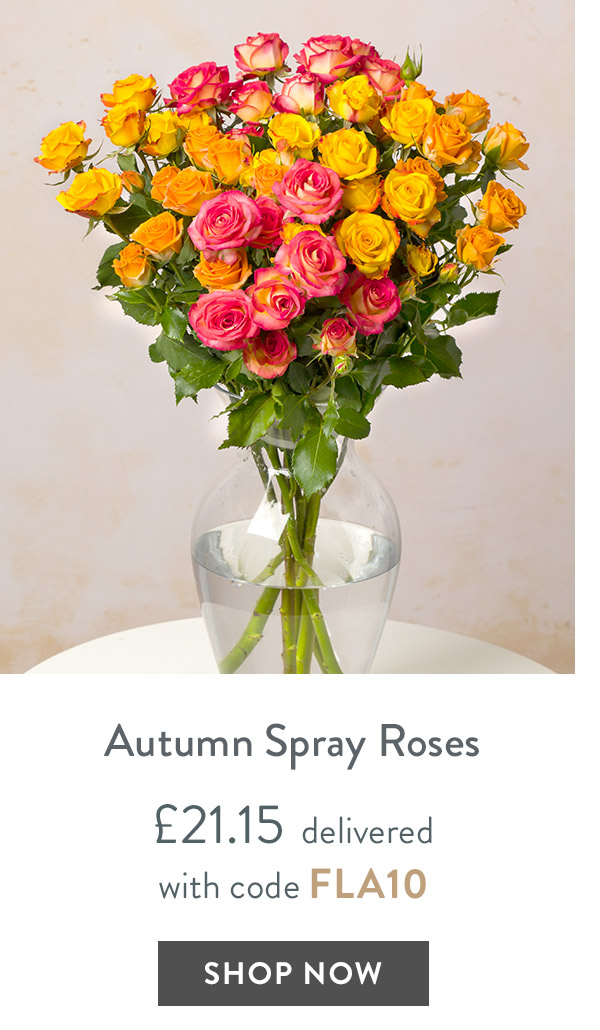 Autumn Spray Roses - only &pound;21.15 delivered