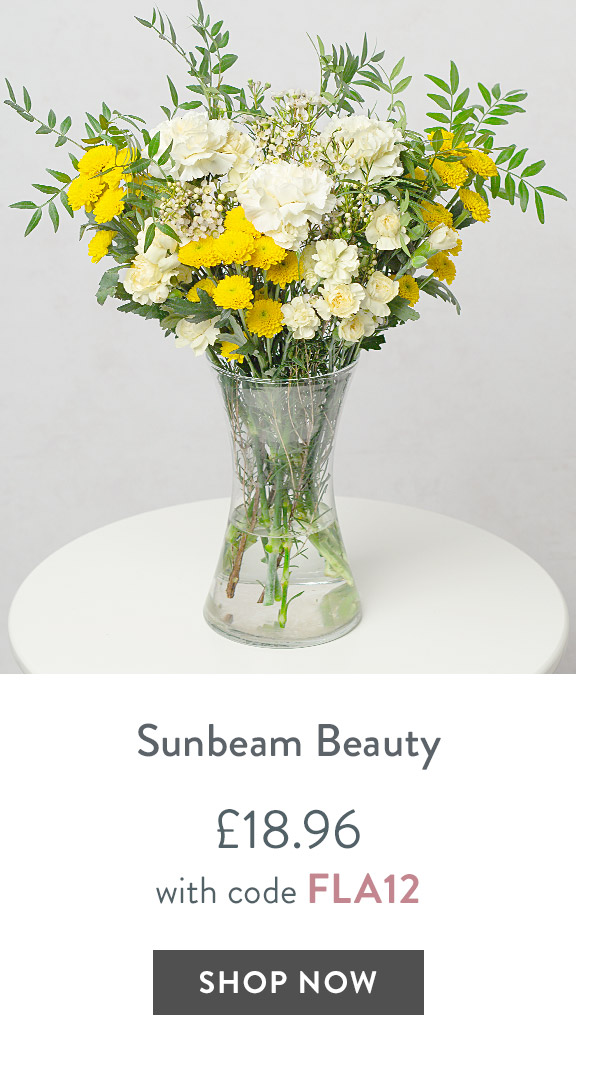 Sunbeam Beauty - only &pound;18.96 with code