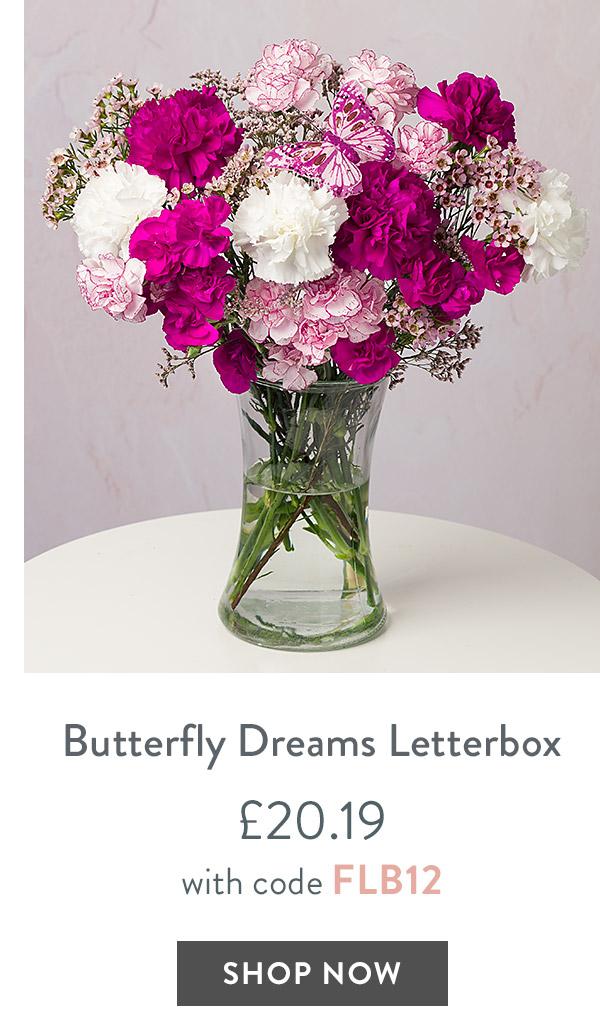 Butterfly Dreams Letterbox - only &pound;20.19 with code