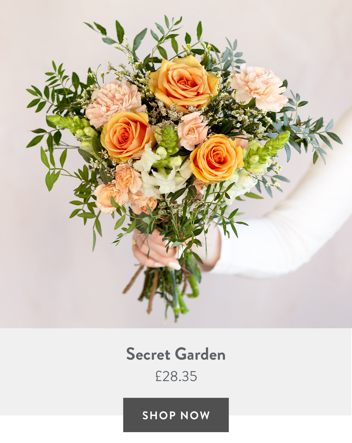 Secret Gardenß - only &pound;28.35