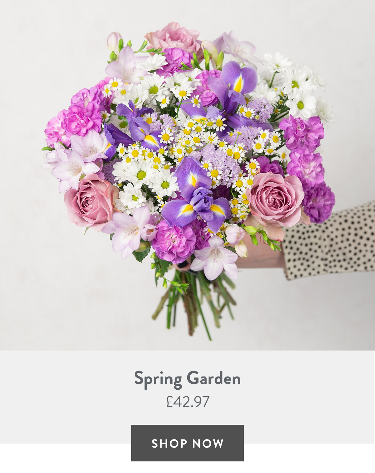 Spring Garden - only &pound;42.97