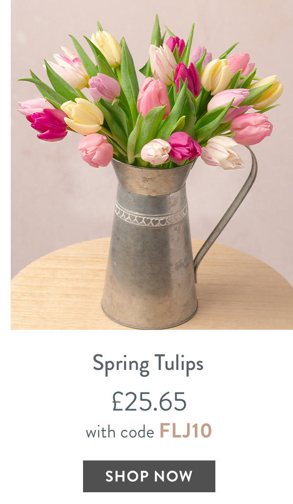 Spring Tulips - only &pound;25.65 with code