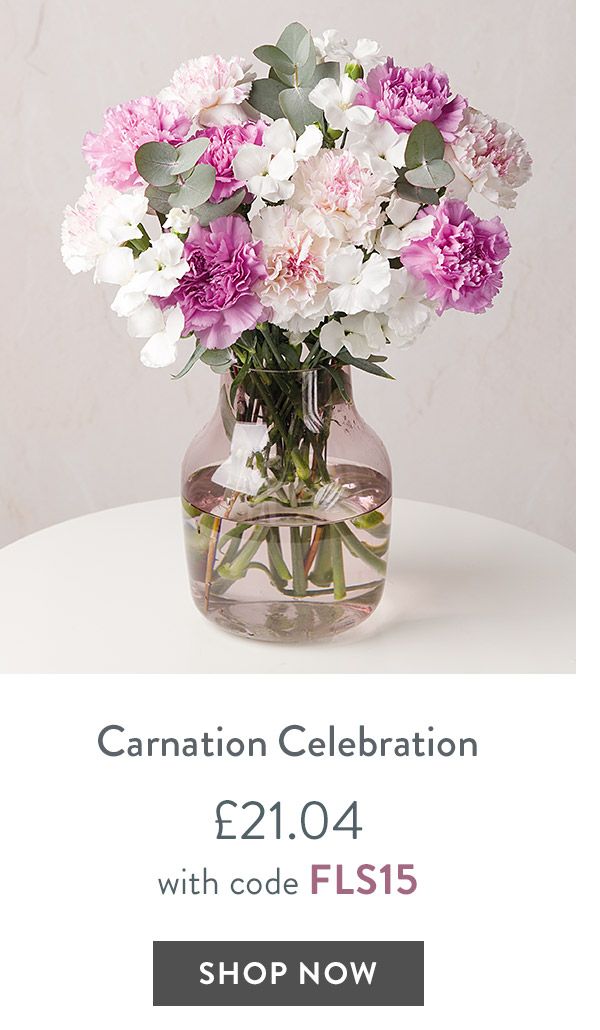 Carnation Celebration - only &pound;21.04 with code