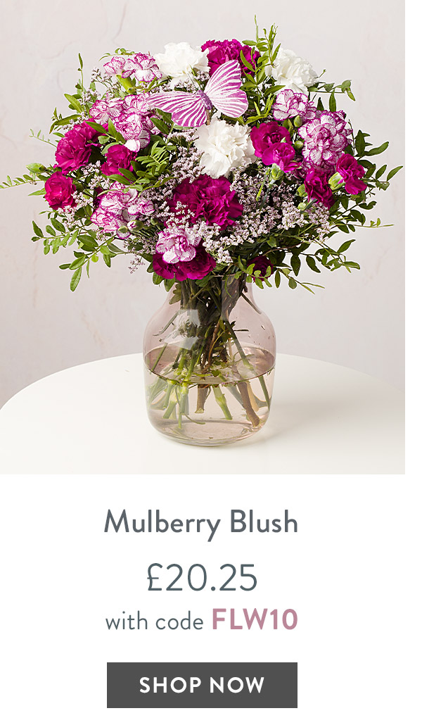 Mulberry Blush - only &pound;20.25 with code