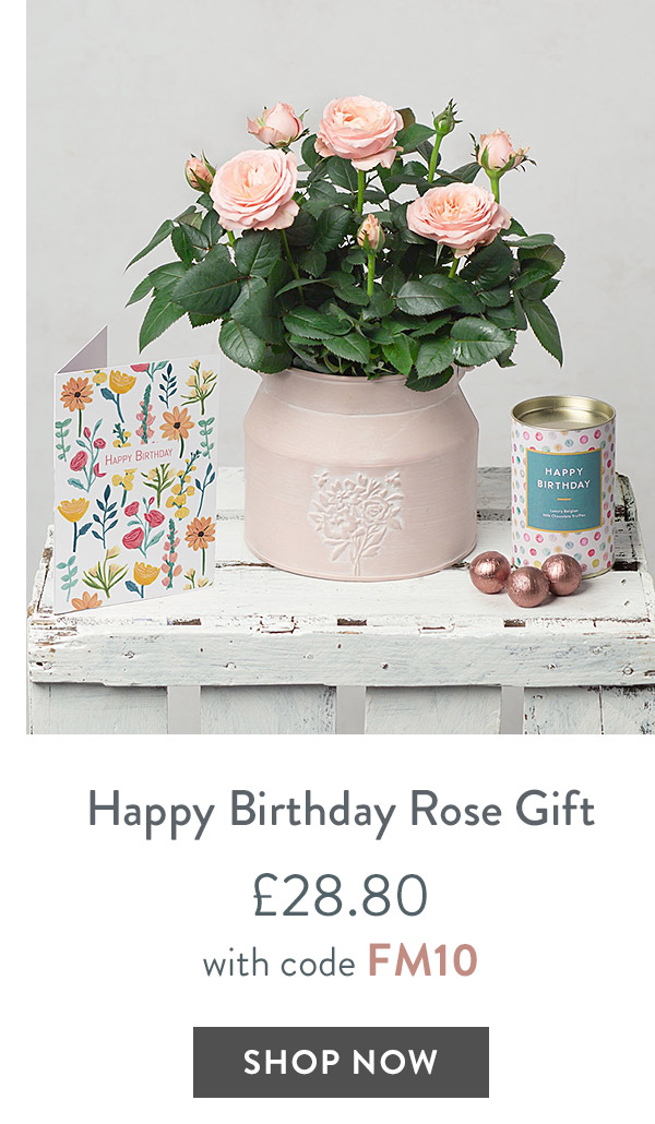 Happy Birthday Rose Gift - only &pound;28.80 with code