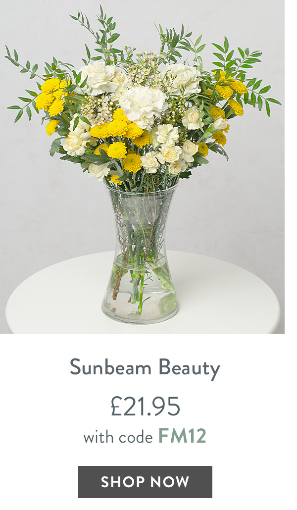 Sunbeam Beauty - only &pound;21.95 with code