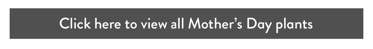 Click here to view all Mother's Day plants