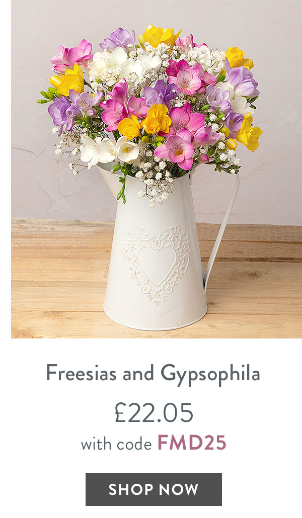 Freesias and Gypsophila - only &pound;22.05 with code