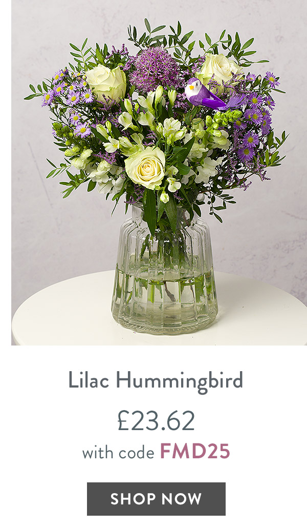 Lilac Hummingbird - only &pound;23.62 with code