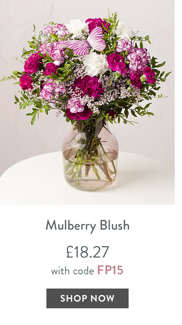 Mulberry Blush - only &pound;18.27 with code