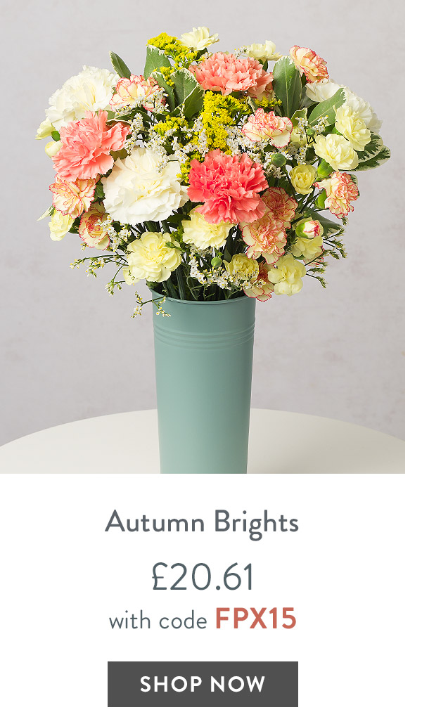 Autumn Brights - only &pound;20.61 with code