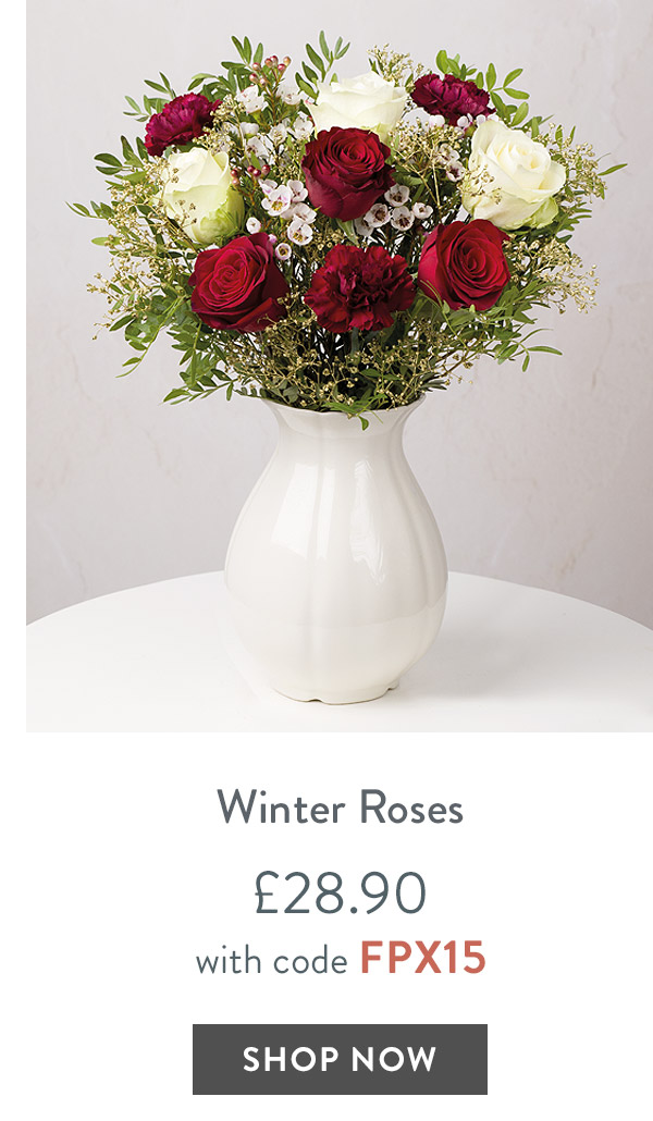 Winter Roses - only &pound;28.90 with code