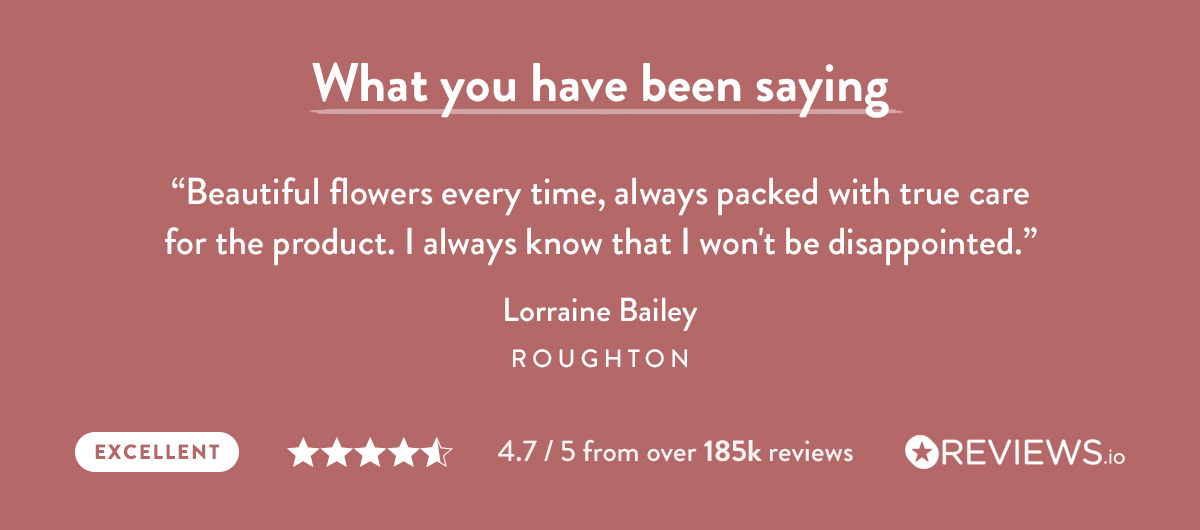 What you have been saying