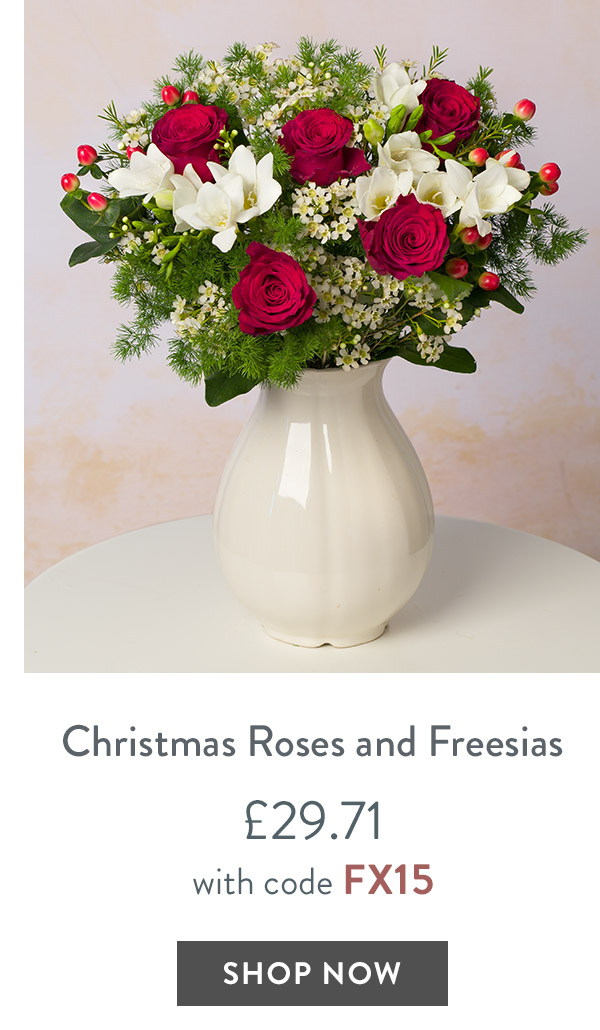 Christmas Rose and Freesias- only &pound;29.71 with code