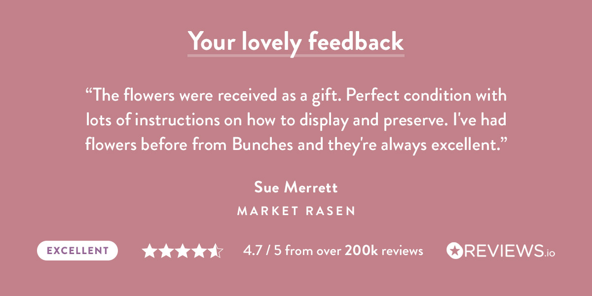 Your lovely feedback