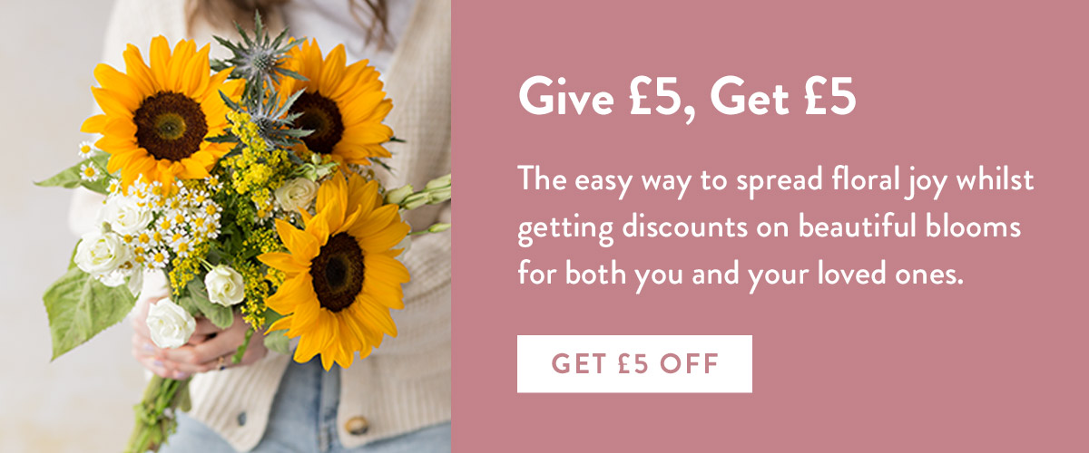 Give £5, get £5 - refer a friend