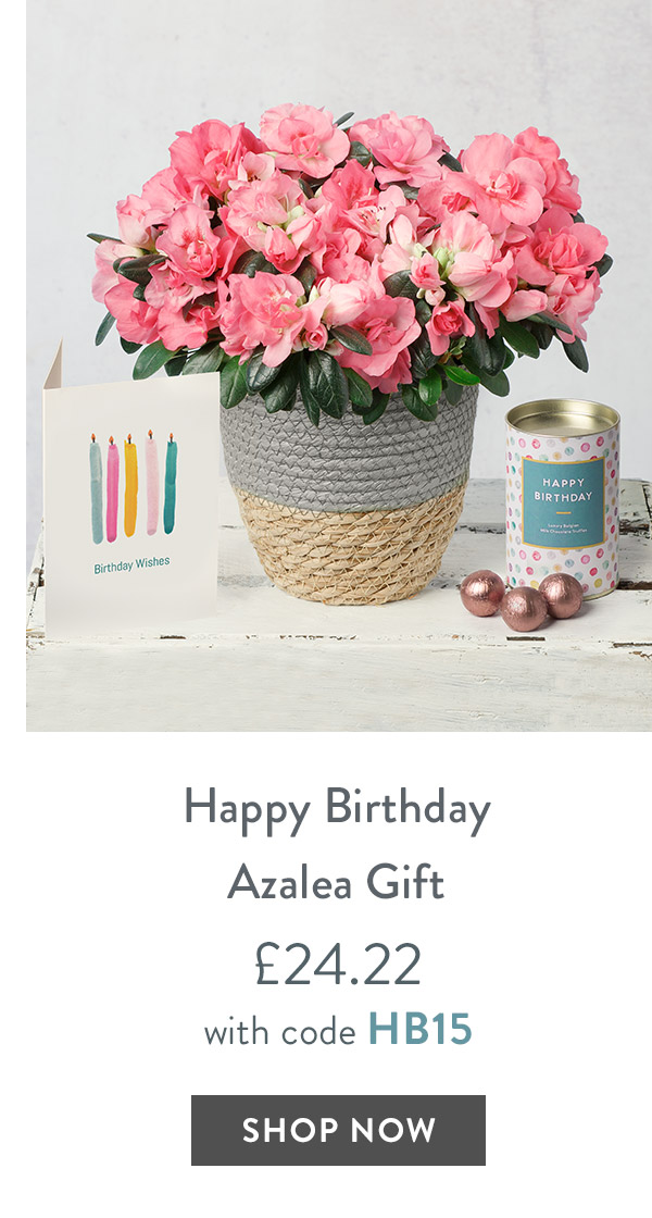 Happy Birthday Azalea Gift - only &pound;24.22 with code