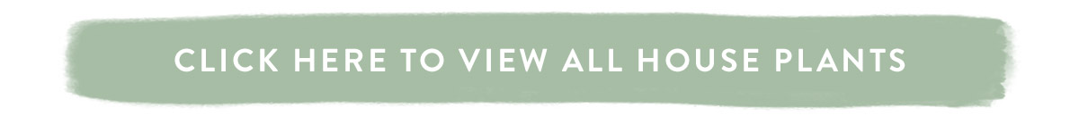 Click here to view all house plants