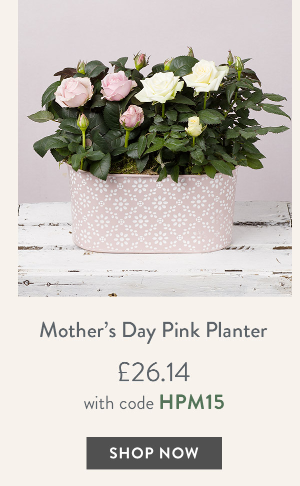 Mother's Day Pink Planter - only &pound;26.14 with code