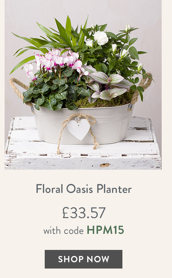 Floral Oasis Planter - only &pound;33.57 with code