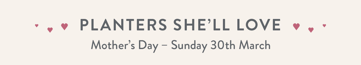 Planters shel'll love