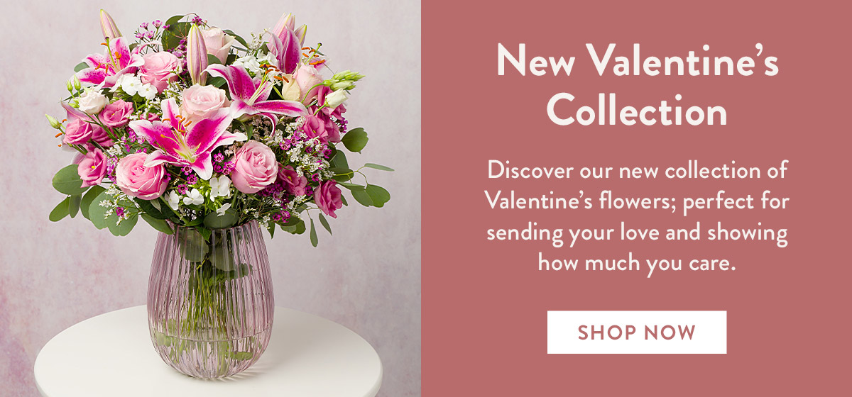 New Valentine's Collection